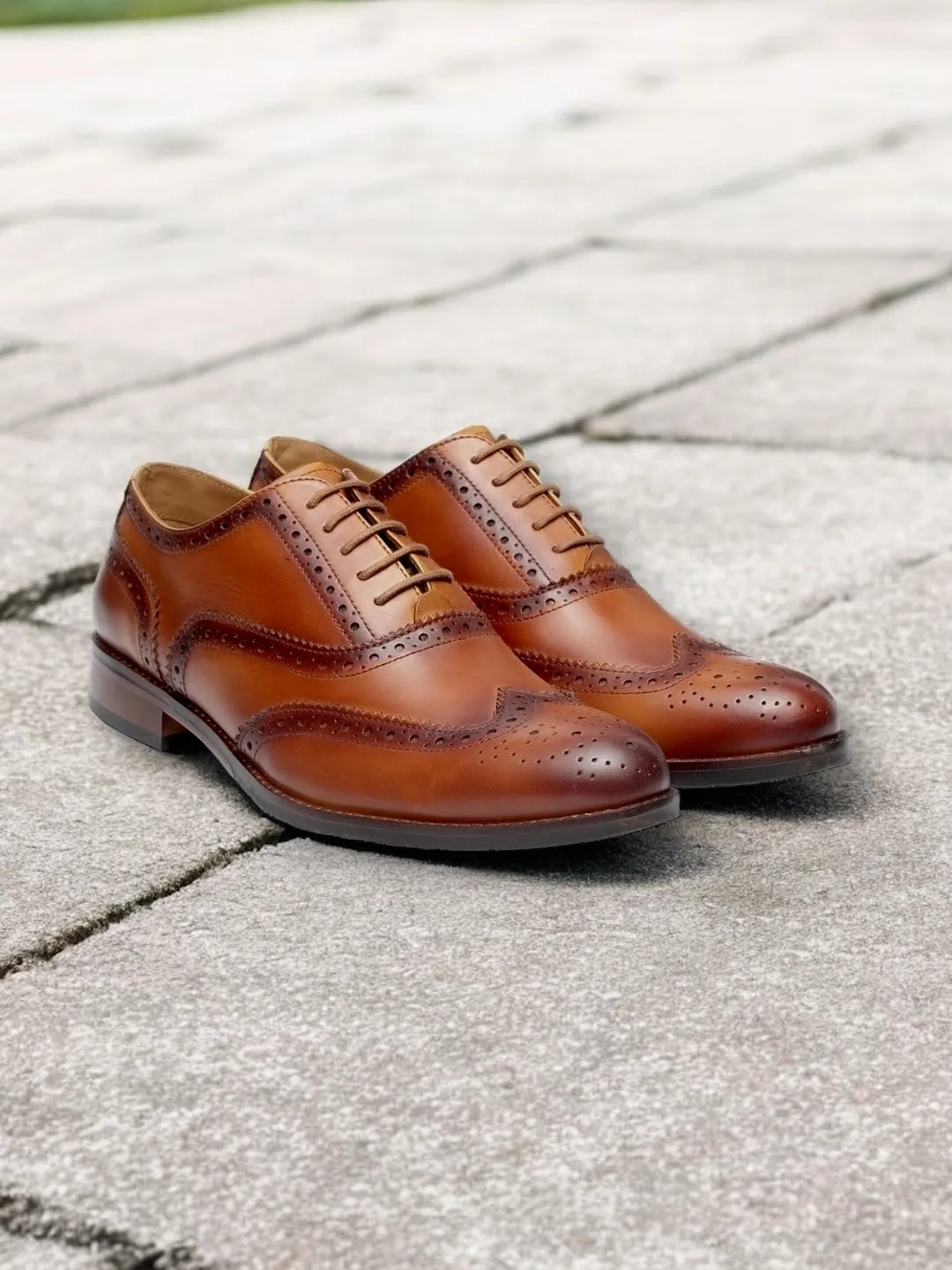 Amber Monarch — Full Brogue Derby