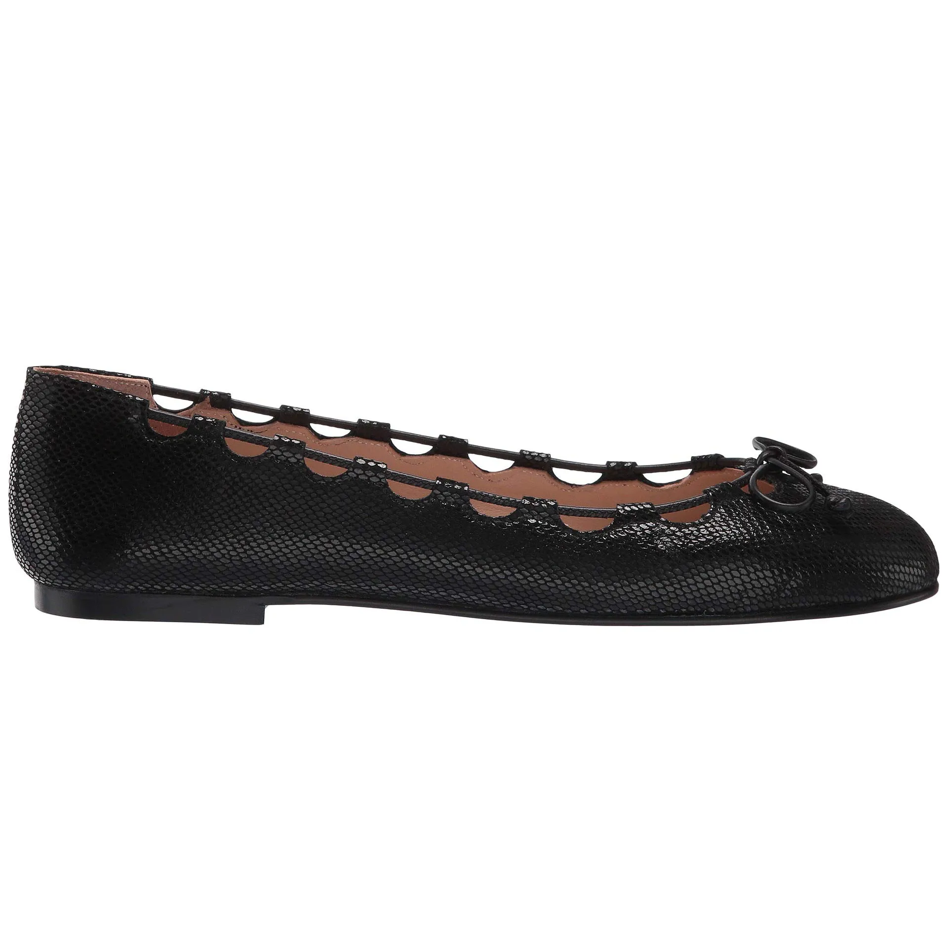 Charlott - Black Snake
