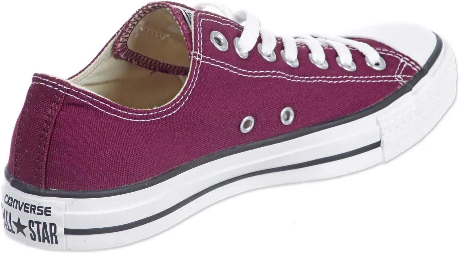 Converse Unisex-Adult Chuck Taylor All Star Seasonal 2019 High Top Sneaker