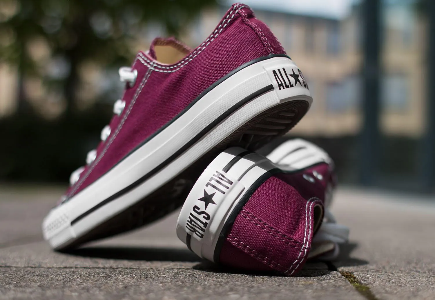 Converse Unisex-Adult Chuck Taylor All Star Seasonal 2019 High Top Sneaker