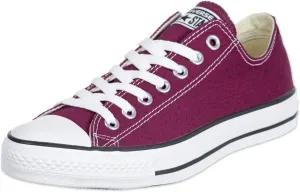 Converse Unisex-Adult Chuck Taylor All Star Seasonal 2019 High Top Sneaker