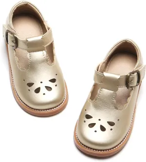 Felix & Flora Toddler Little Girl Mary Jane Dress Shoes - Ballet Flats for Girl Party School Shoes