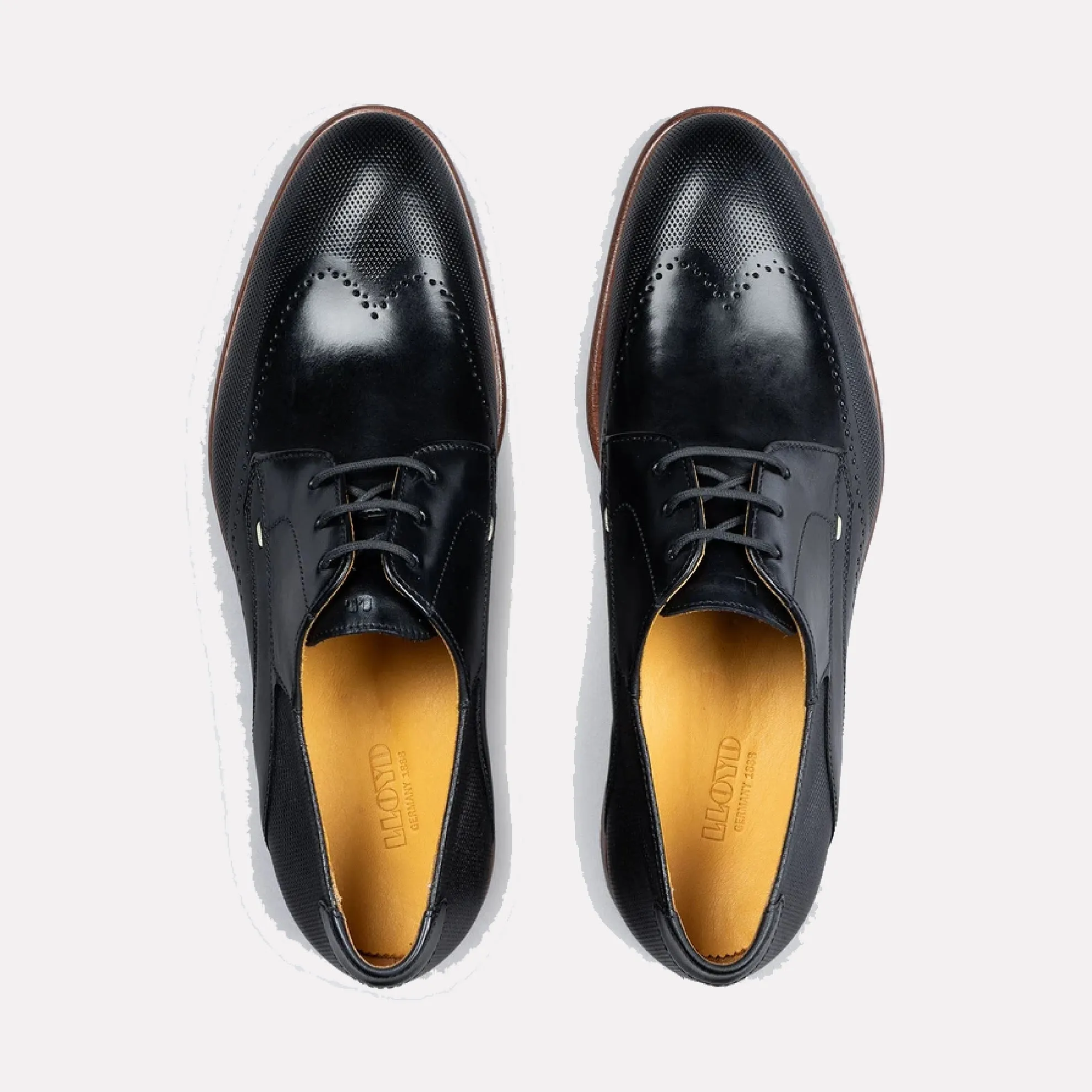 Nassau Leather Derby Shoe with Embossed Wingtip / Black