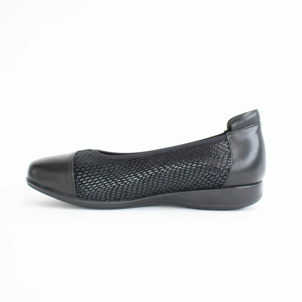 Walnut XW Black Snake Stretch