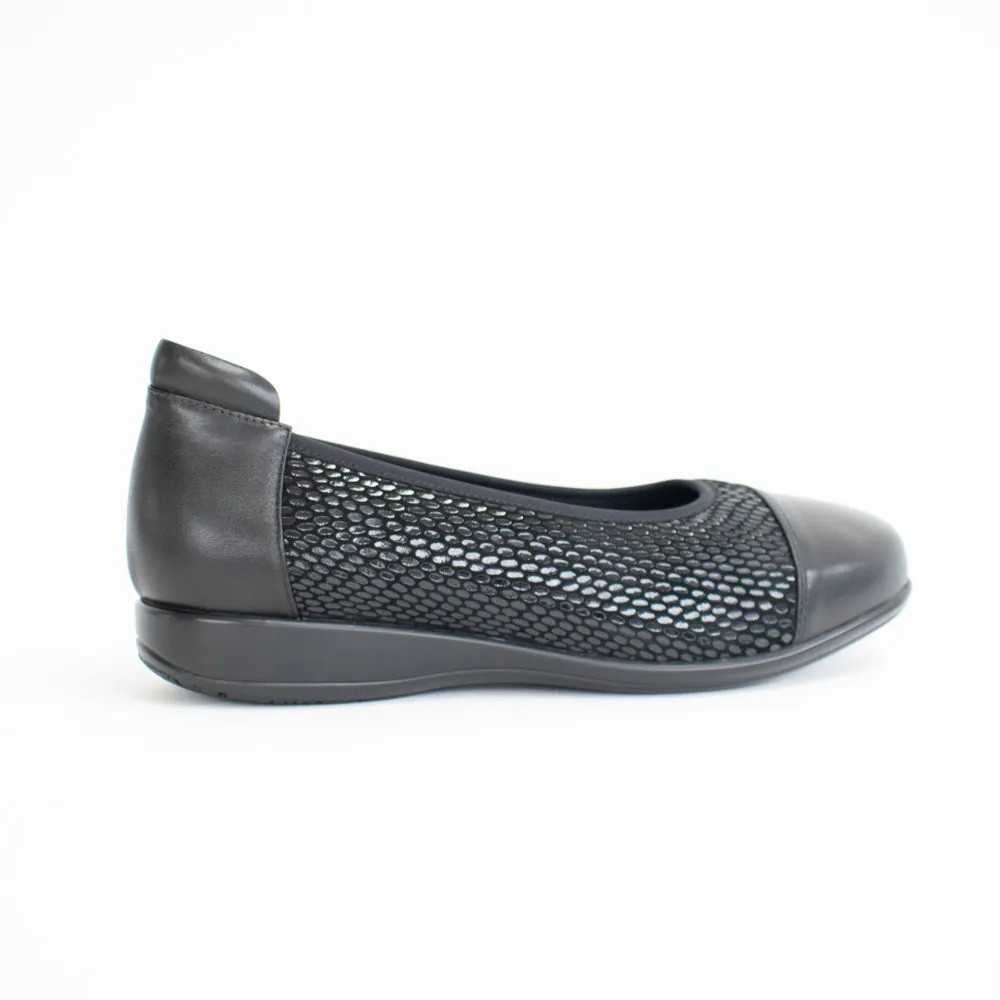 Walnut XW Black Snake Stretch