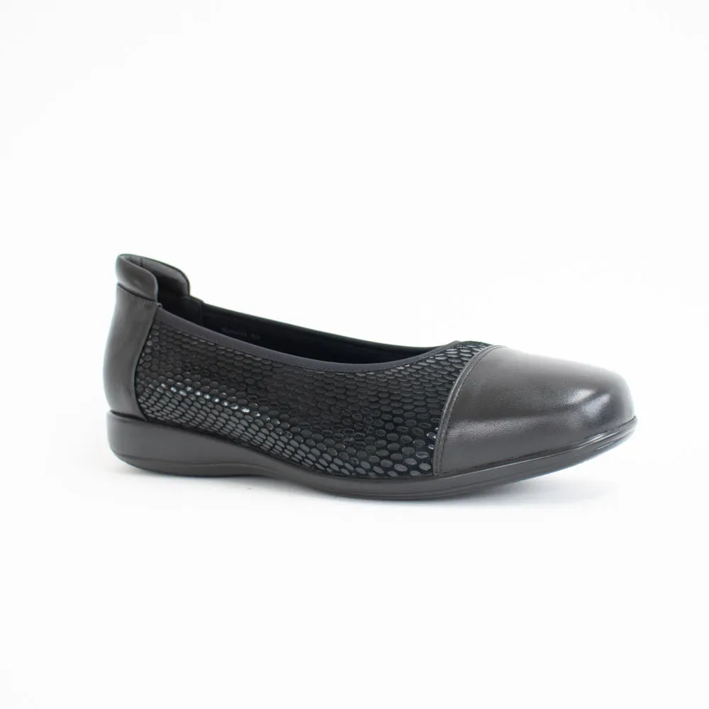 Walnut XW Black Snake Stretch